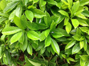 与别不同的工作场所