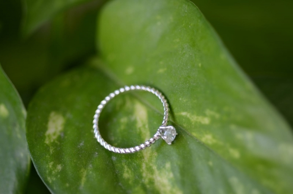 rings1